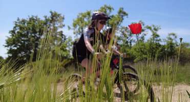 Boucle vélo Verdon : La haute vallée de L'Artuby